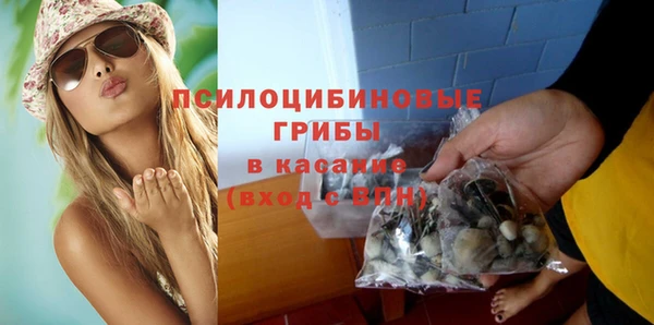 твердый Михайловск