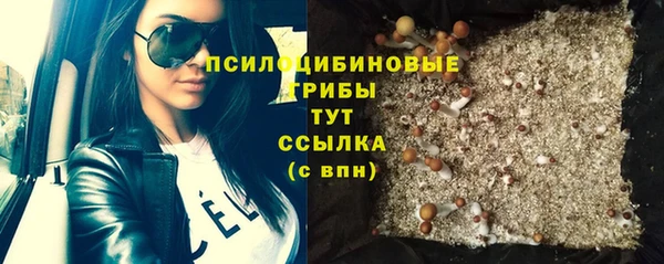 дживик Михайлов