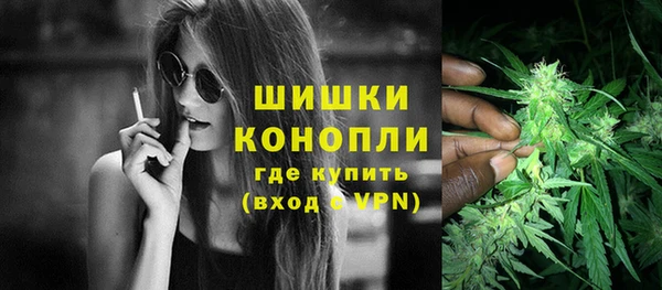 твердый Михайловск