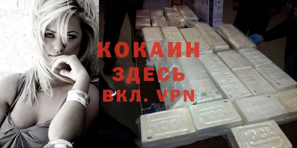 твердый Михайловск